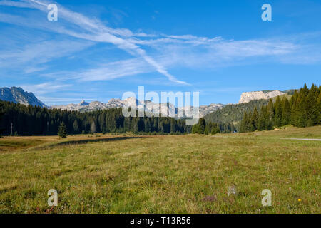 Montenegro, Nationalpark Durmitor, Durmitor massiv, Alm Poljana Stockfoto