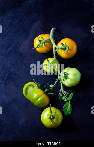 Ganze und aufgeschnittene Tomaten 'Green Zebra' auf dunklem Boden Stockfoto