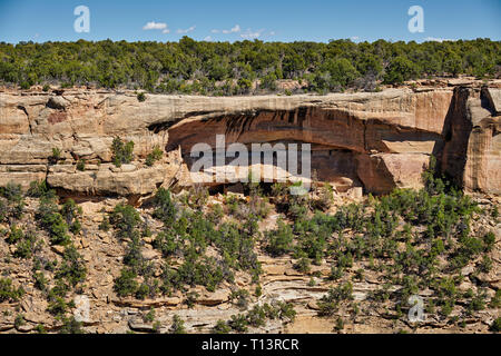Cliff dwellings in Mesa-Verde-Nationalpark, UNESCO-Weltkulturerbe, Colorado, USA, Nordamerika Stockfoto