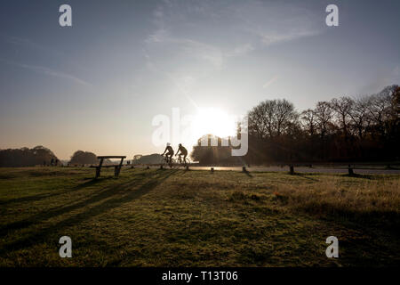 Vereinigtes Königreich, England, London, Radfahrer in Richmond Park gegen Morgen Sonne Stockfoto