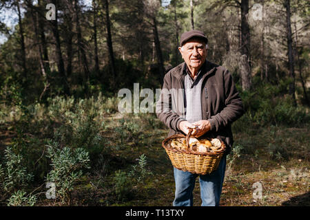 Portrait von lächelnden älteren Mann mit Korb voller Pilze im Wald Stockfoto