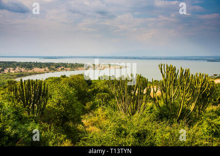 Afrika, Uganda, Kazinga Kanal zwischen Lake George und Lake Edward, Queen Elizabeth National Park Stockfoto