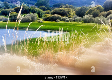 Spanien, Provinz Zamora, Lago de Sanabria Naturschutzgebiet Stockfoto