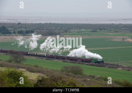 Hadleigh, Essex, Großbritannien. 23. Mär 2019. Die große Zeit der Dampfeisenbahn reisen zurück nach Essex für eine spezielle Reise von Southend on Sea die Bluebell Railway an der Sheffield Park East Sussex. Gebaut für die London and North Eastern Railway, 61306 Mayflower ist einer von zwei Überlebenden B1 Klasse Lokomotiven. Die B1 wurden als gemischter Verkehr Lokomotiven in der Lage schleppen express Personenzüge sowie Güterverkehr konzipiert. Quelle: MARTIN DALTON/Alamy leben Nachrichten Stockfoto