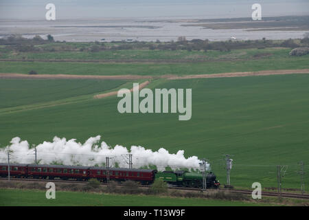 Hadleigh, Essex, Großbritannien. 23. Mär 2019. Die große Zeit der Dampfeisenbahn reisen zurück nach Essex für eine spezielle Reise von Southend on Sea die Bluebell Railway an der Sheffield Park East Sussex. Gebaut für die London and North Eastern Railway, 61306 Mayflower ist einer von zwei Überlebenden B1 Klasse Lokomotiven. Die B1 wurden als gemischter Verkehr Lokomotiven in der Lage schleppen express Personenzüge sowie Güterverkehr konzipiert. Quelle: MARTIN DALTON/Alamy leben Nachrichten Stockfoto