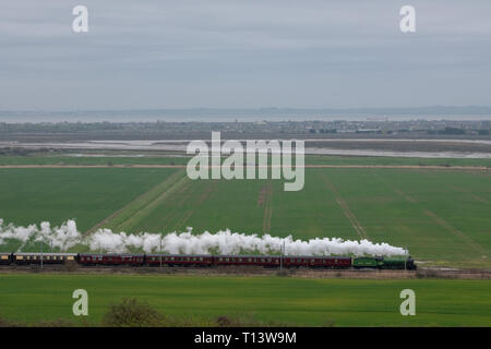 Hadleigh, Essex, Großbritannien. 23. Mär 2019. Die große Zeit der Dampfeisenbahn reisen zurück nach Essex für eine spezielle Reise von Southend on Sea die Bluebell Railway an der Sheffield Park East Sussex. Gebaut für die London and North Eastern Railway, 61306 Mayflower ist einer von zwei Überlebenden B1 Klasse Lokomotiven. Die B1 wurden als gemischter Verkehr Lokomotiven in der Lage schleppen express Personenzüge sowie Güterverkehr konzipiert. Quelle: MARTIN DALTON/Alamy leben Nachrichten Stockfoto