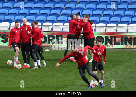 Cardiff, Großbritannien. 23 Mär, 2019. Wales Fußball-Gruppe Ausbildung an der Cardiff City Stadium in Cardiff, South Wales am Samstag, 23. März 2019. Das Team die Vorbereitung auf die UEFA Euro 2020 quailfier gegen die Slowakei morgen sind. pic von Andrew Obstgarten/Alamy leben Nachrichten Stockfoto