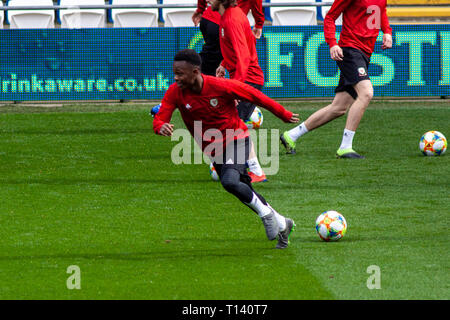 Cardiff, Großbritannien. 23 Mär, 2019. Wales v Slowakei UEFA Euro 2020 Qualifier in Cardiff City Stadium, Credit: Lewis Mitchell/Alamy leben Nachrichten Stockfoto