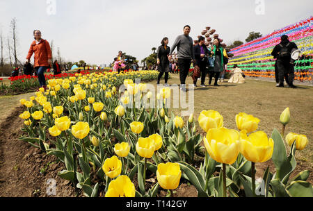 Shanghai, China. 23 Mär, 2019. Menschen sehen blühende Tulpen zu einem ökologischen Garten im Osten Chinas Shanghai, 23. März 2019. Credit: Fang Zhe/Xinhua/Alamy Leben Nachrichten Quelle: Xinhua/Alamy leben Nachrichten Stockfoto