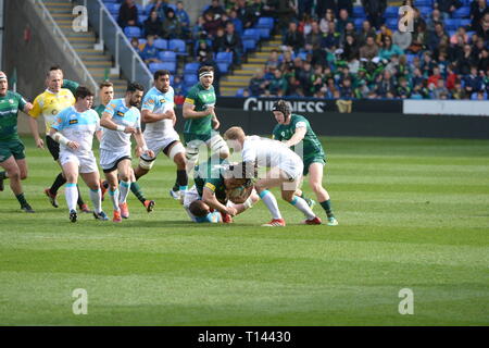 Reading, Berkshire, Großbritannien. 23 Mär, 2019. London Irish vs Doncaster Ritter Rugby im Madejski Stadium 02/03/19 Kick off 14.30. Quelle: David Hammant/Alamy leben Nachrichten Stockfoto