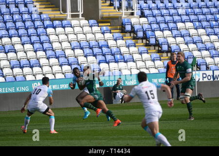 Reading, Berkshire, Großbritannien. 23 Mär, 2019. London Irish vs Doncaster Ritter Rugby im Madejski Stadium 02/03/19 Kick off 14.30. Quelle: David Hammant/Alamy leben Nachrichten Stockfoto