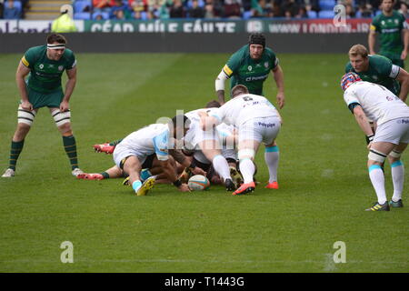 Reading, Berkshire, Großbritannien. 23 Mär, 2019. London Irish vs Doncaster Ritter Rugby im Madejski Stadium 02/03/19 Kick off 14.30. Quelle: David Hammant/Alamy leben Nachrichten Stockfoto