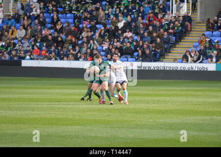 Reading, Berkshire, Großbritannien. 23 Mär, 2019. London Irish vs Doncaster Ritter Rugby im Madejski Stadium 02/03/19 Kick off 14.30. Quelle: David Hammant/Alamy leben Nachrichten Stockfoto