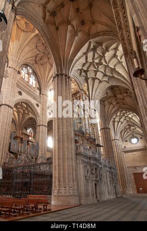 Neue Kathedrale - Interieur, 16. Jahrhundert, Salamanca, Region Castilla y Leon, Spanien, Europa. Stockfoto