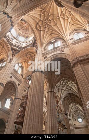Neue Kathedrale - Interieur, 16. Jahrhundert, Salamanca, Region Castilla y Leon, Spanien, Europa. Stockfoto