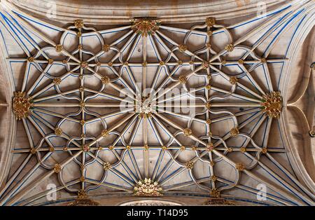 Neue Kathedrale - Interieur, 16. Jahrhundert, Salamanca, Region Castilla y Leon, Spanien, Europa. Stockfoto