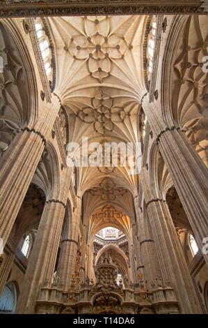 Neue Kathedrale - Interieur, 16. Jahrhundert, Salamanca, Region Castilla y Leon, Spanien, Europa. Stockfoto