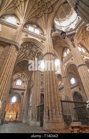 Neue Kathedrale - Interieur, 16. Jahrhundert, Salamanca, Region Castilla y Leon, Spanien, Europa. Stockfoto
