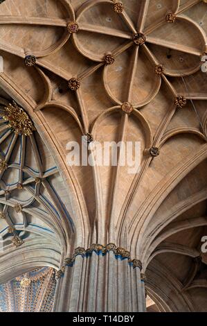 Kreuzrippengewölbe der neuen Kathedrale, Salamanca, Region Castilla y Leon, Spanien, Europa. Stockfoto