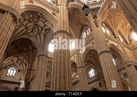 Neue Kathedrale - Interieur, 16. Jahrhundert, Salamanca, Region Castilla y Leon, Spanien, Europa. Stockfoto