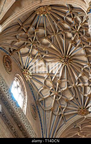 Neue Kathedrale - Interieur, 16. Jahrhundert, Salamanca, Region Castilla y Leon, Spanien, Europa. Stockfoto