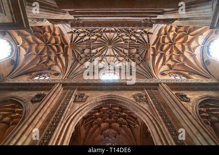 Neue Kathedrale - Interieur, 16. Jahrhundert, Salamanca, Region Castilla y Leon, Spanien, Europa. Stockfoto