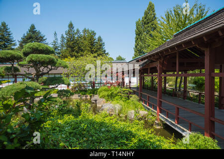 Japanischer Garten auf der Isle de Versailles in Nantes, Nantes, Ile de Versailles, Jardin Japonais - Nantes, Insel Versailles, einen japanischen Garten Stockfoto