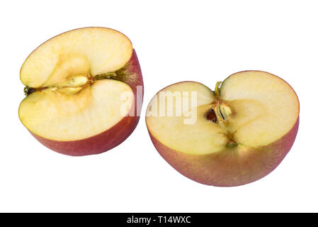 Die beiden Hälften des frischen Apfel auf weißem Hintergrund Stockfoto
