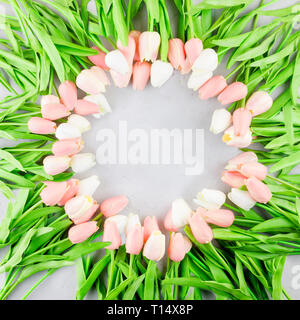 Ansicht von oben Kranz aus leichtem rosa Tulpen auf grauem Beton Hintergrund Stockfoto