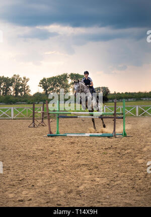 Eine Frau Jockey springt über die Barrieren auf ein Pferd in einem Springen während des Sonnenuntergangs. Ein junges Mädchen Reiter reitet ein Pferd Reiten in den Sattel. Stockfoto