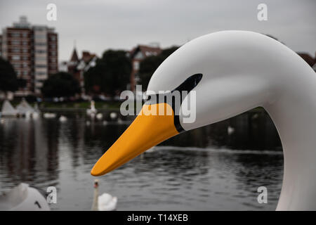 Schwan Tretboot am Canoe Lake in der Nähe von Southsea, Portsmouth, Hampshire Stockfoto