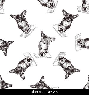 Nahtlose Muster von Hand gezeichnete Skizze stil Bulldoggen. Vector Illustration auf weißem Hintergrund. Stock Vektor