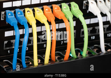 Nahaufnahme des farbigen Computer Netzwerk Kabel mit einem Switch verbunden Stockfoto