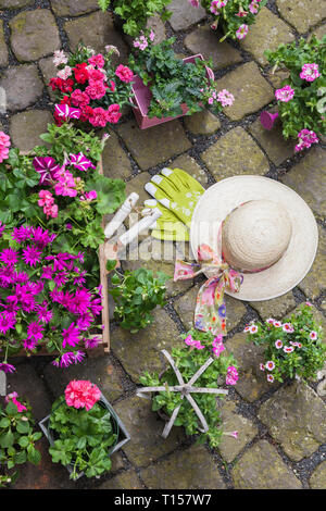 Verschiedene Topfpflanzen im Frühjahr und Sommer Blumen, Strohhut, Gartengeräte und Handschuhe auf cabblestone Pflaster Stockfoto