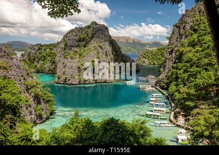 Philippinen, Palawan, Coron Island, Kayangan See Stockfoto