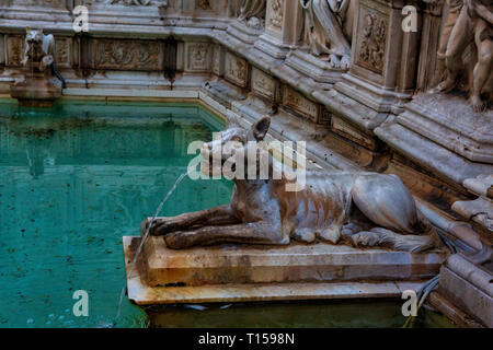 Fonte Gaia, Wasser Brunnen auf der Piazza del Campo in Siena, Toskana, Italien. Stockfoto