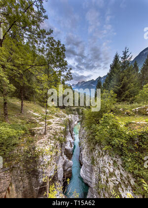 Fluss Soca Schlucht in der Nähe von Bovec im Triglav National Park, die Julischen Alpen, Slowenien, Europa Stockfoto