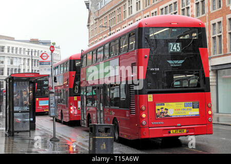 243 Bus und die Warteschlange der roten Doppeldecker Busse in Clerkenwell London England UK KATHY DEWITT Stockfoto