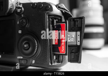 Großbritannien - Februar 08., 2019. Sandisk SD und Compact Flash CF-Speicherkarten in einer Canon Kamera Steckplatz. Sandisk ist der führende Marke von Speicherkarten Stockfoto