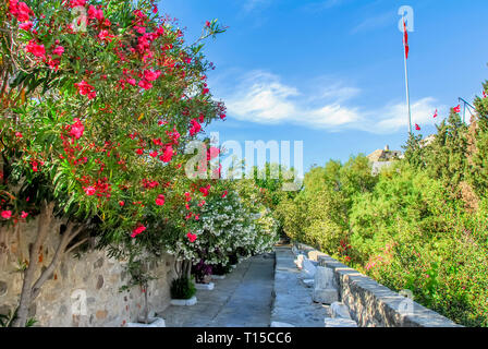 Bodrum, Türkei, 20. Mai 2010: Burg von Bodrum Stockfoto