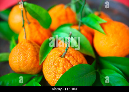 Frischen Zitrusfrüchten und Laub. Stockfoto