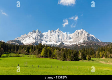 Österreich, Tirol, Going am Wilden Kaiser, Wilder Kaiser, Kaisergebirge Stockfoto