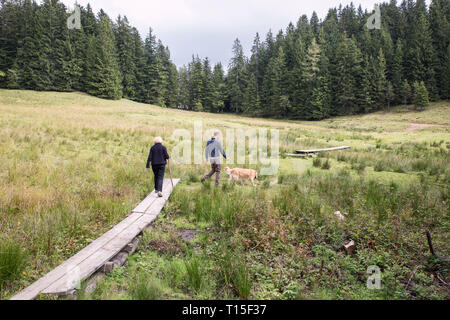Österreich, Tirol, Kaisergebirge, Mutter und erwachsener Sohn mit Hund auf eine Wanderung in den Bergen Stockfoto