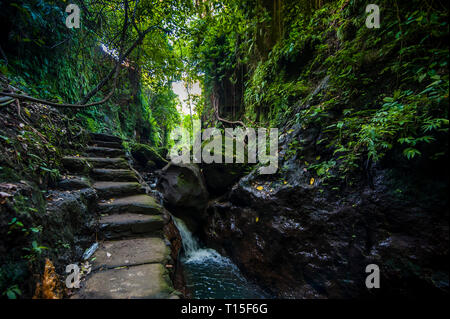 Indonesien, Bali, Treppen in den heiligen Affenwald von Ubud Stockfoto