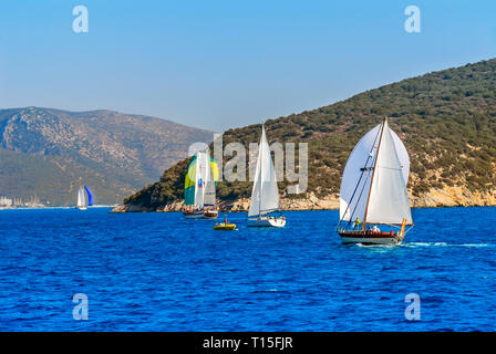 Bodrum, Türkei, 23. Oktober 2010: Bodrum Cup Rennen, Gulet Holz- Segelboote Stockfoto