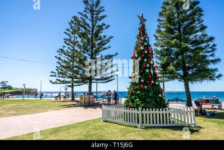 24. Dezember 2018, Sydney NSW Australien: Weihnachtsbaum auf dem Vorland von Coogee Beach in Sydney NSW Australien Stockfoto