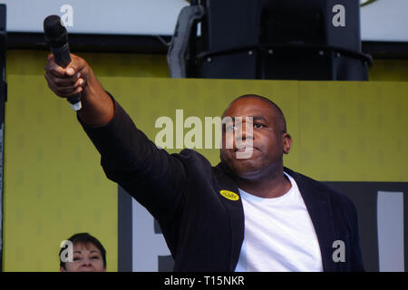 London, Großbritannien. 23. März, 2019. David Lammy, Labour MP für Tottenham, spricht über 'Abstimmung' März in Parliament Square. Quelle: Thomas Krych/Alamy leben Nachrichten Stockfoto