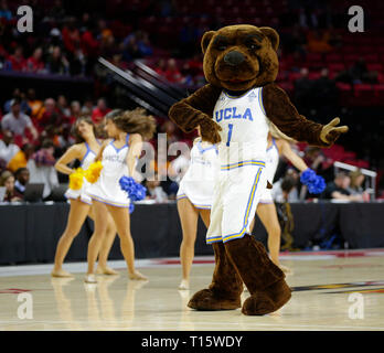 College Park, MD, USA. 23 Mär, 2019. UCLA Bruins Maskottchen führt während der ersten Runde des NCAA Meisterschaft das Spiel der Frauen zwischen dem Tennessee Dame Vols und der UCLA Bruins an der Xfinity Zentrum in College Park, Md. Justin Cooper/CSM/Alamy leben Nachrichten Stockfoto