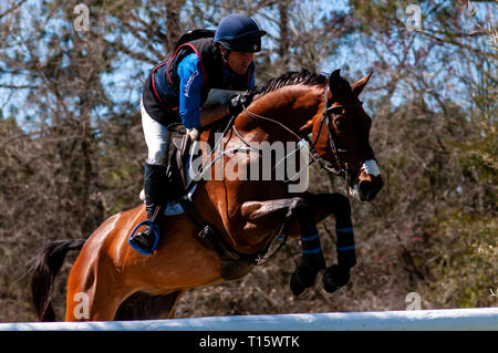 Raeford, North Carolina, USA. 22 Mär, 2019. März 23, 2019 - Raeford, N.C., USA - PHILLIP DUTTON der Vereinigten Staaten reiten FERNHILL SINGAPUR konkurriert im cross country CCI-4 S Abteilung an der 6. jährlichen Cloud 11 - Gavilan North LLC Carolina International CCI und Pferd Versuch, bei Carolina Horse Park. Die Carolina International CCI und Pferd Versuch ist einer von North America's Premier eventing Wettbewerbe für nationale und internationale eventing Kombinationen, internationale Konkurrenz an der CCI 2*-S durch CCI 4*-S-Ebene und auf nationaler Ebene der Ausbildung durch erweiterte. (Credit Ima Stockfoto