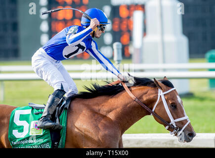 New Orleans, Louisiana, USA. 23 Mär, 2019. NEW ORLEANS, Louisiana - MÄRZ 23: Durch meine Standards #5, geritten von Gabriel Saez, zieht einen umgekippten im Louisiana Derby auf Louisiana Derby Tag gewinnen bei der Messe Rennstrecke in New Orleans, Louisiana. Scott SerioEclipse SportswireCSM/Alamy leben Nachrichten Stockfoto